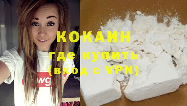 индика Горнозаводск