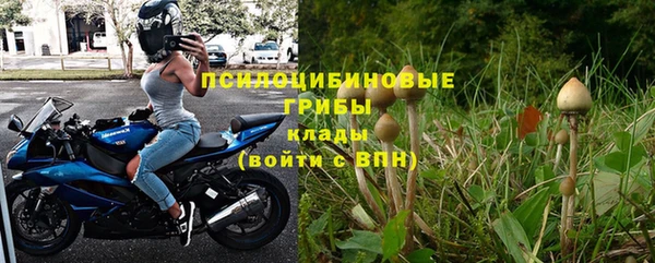 крисы Гусь-Хрустальный
