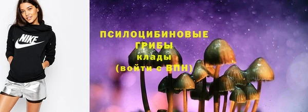 2c-b Горно-Алтайск
