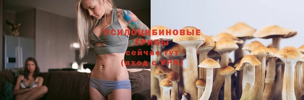 герыч Горняк