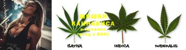 гидра Барнаул