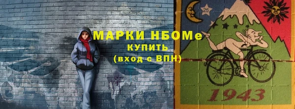 индика Горнозаводск