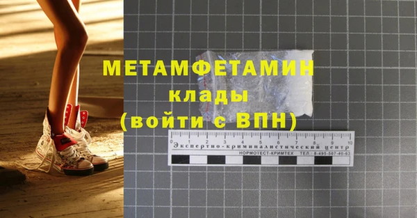 индика Горнозаводск