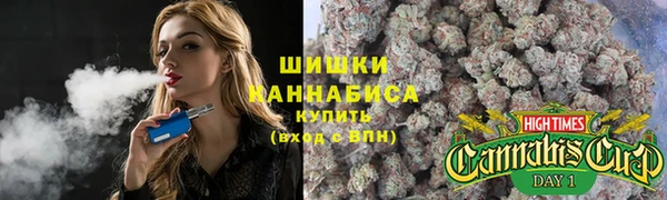 крисы Гусь-Хрустальный