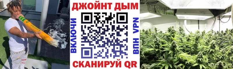 Каннабис Ganja Новоржев